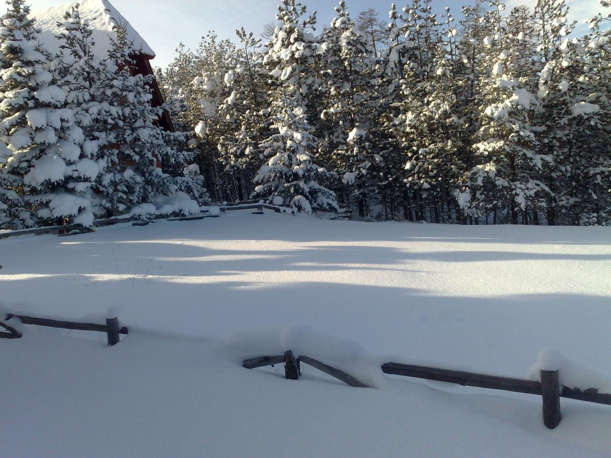 Chalet Four Seasons Zlatibor Bagian luar foto
